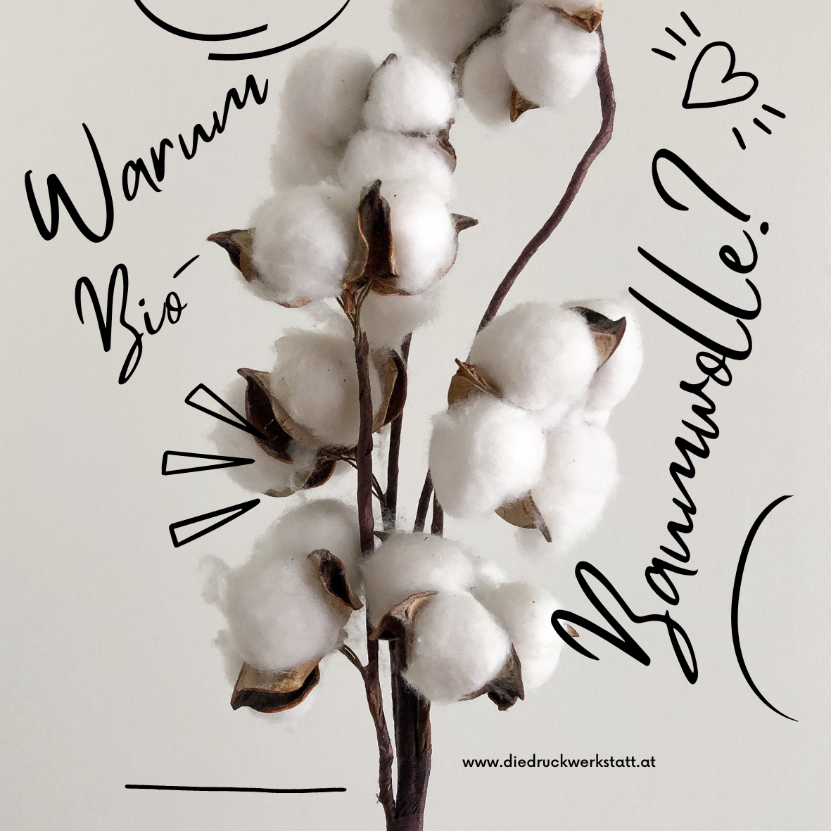 Der ultimative Stoffvergleich: Baumwolle, Biobaumwolle, Polyester