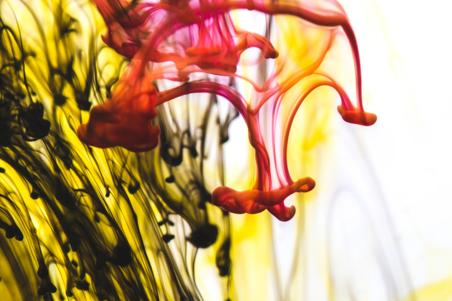 Sublimationsdruck: Eine wahre Liebesgeschichte zwischen Farben und Materialien